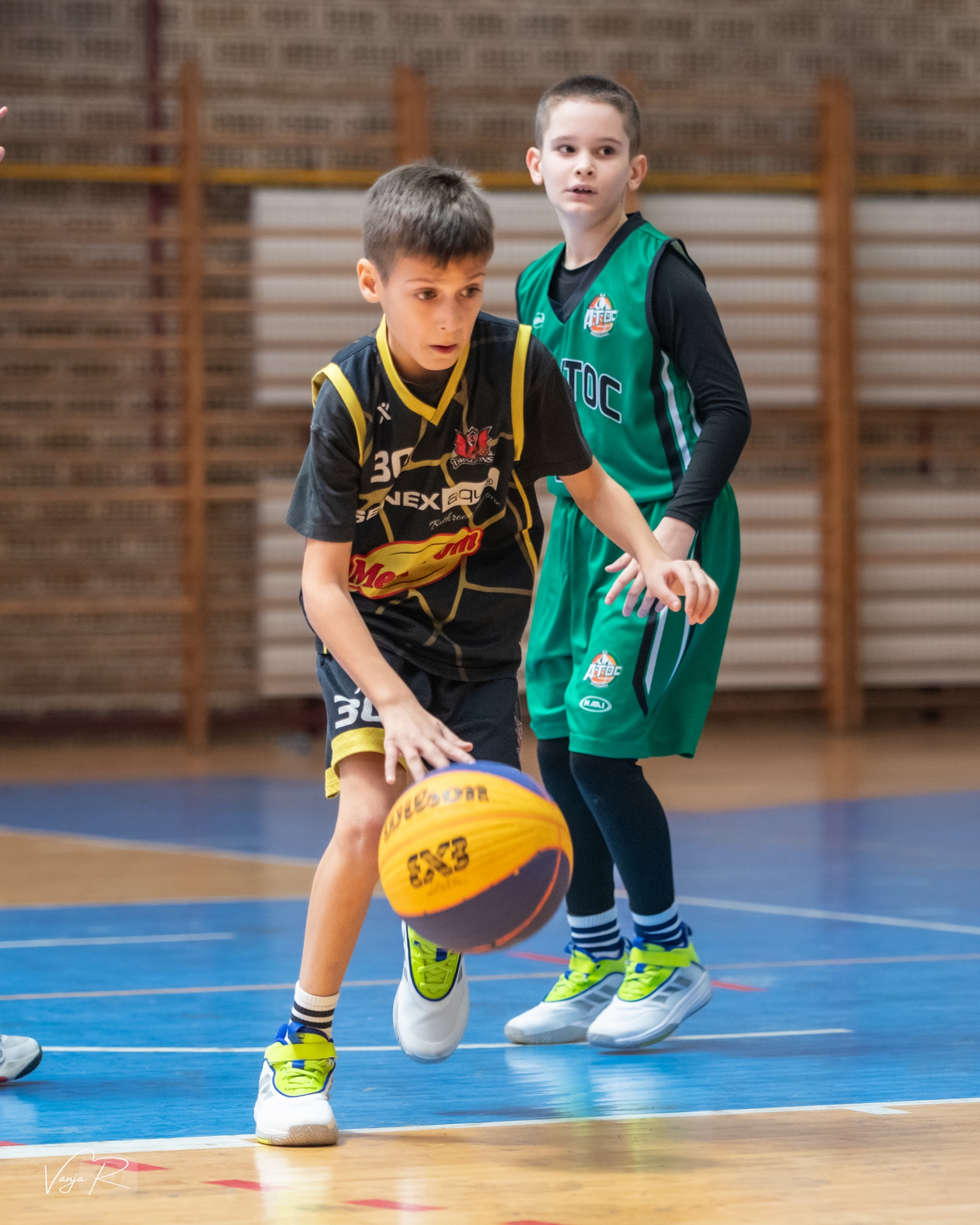 Fenix & Kos 2026 - DSC 8179
